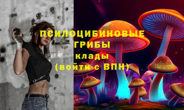 крисы Алзамай