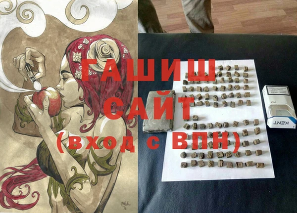 гидра Алексеевка