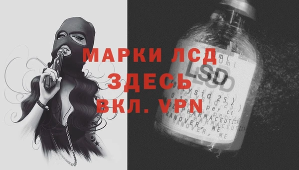 крисы Алзамай
