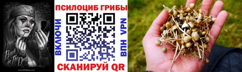 Псилоцибиновые грибы ЛСД  kraken маркетплейс  Волхов  цена наркотик 