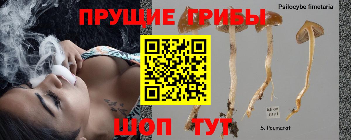 Марихуана  Вход с VPN  Волхов  NBOMe  Molly  Меф  КОКАИН  Купить 